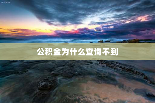 公积金为什么查询不到 为什么查公积金查不到？