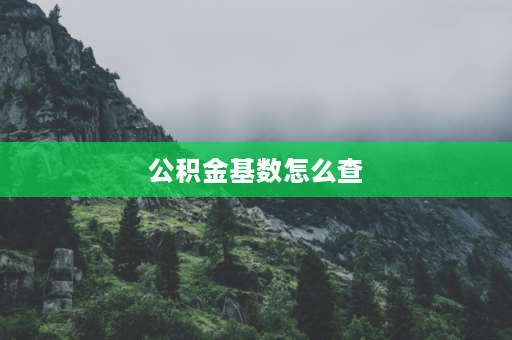 公积金基数怎么查 怎么查询公积金缴存基数平均值？