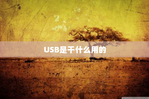 USB是干什么用的 U盘是干什么用的？