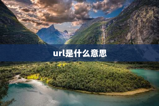 url是什么意思 URL指的是什么意思？