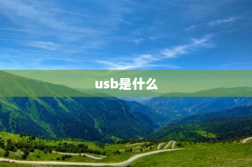 u**是什么 USB是什么软件？