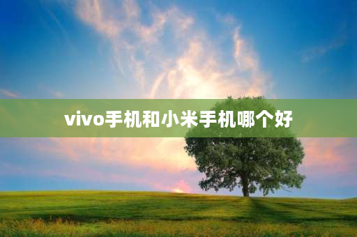 vivo手机和小米手机哪个好 oppo vivo 小米这三款手机哪个好？