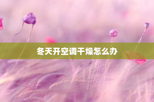 冬天开空调干燥怎么办 怎样在开空调的情况下保持室内不干燥？