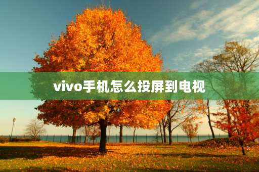 vivo手机怎么投屏到电视 vivo手机怎样连接电视？