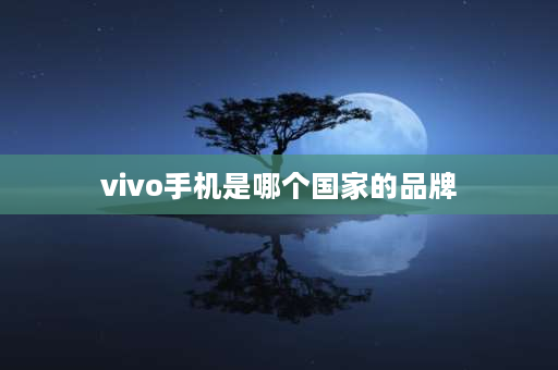 vivo手机是哪个国家的品牌 vivo和oppo是哪个国家的品牌？