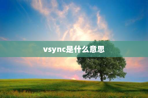 vsync是什么意思 游戏里面提到垂直同步是什么意思？