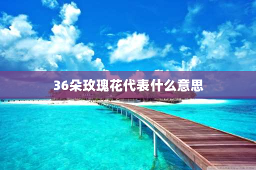 36朵玫瑰花代表什么意思 订婚玫瑰花36朵寓意？