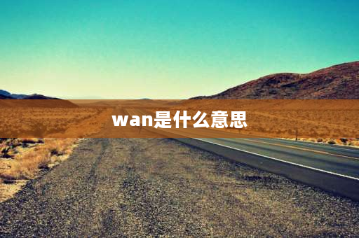 wan是什么意思 wan是什么意思网络语？