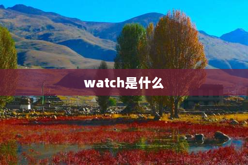 watch是什么 ewatch是什么牌子？