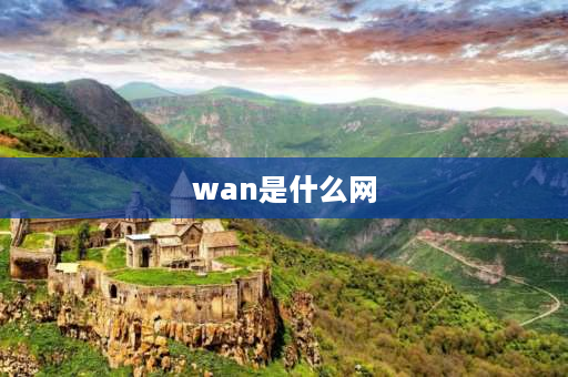 wan是什么网 LAN和WAN分别被称为什么网？