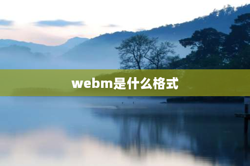 webm是什么格式 webm文件怎么用于抖音？