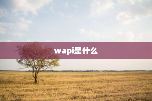 wapi是什么 WAPI是什么意思？