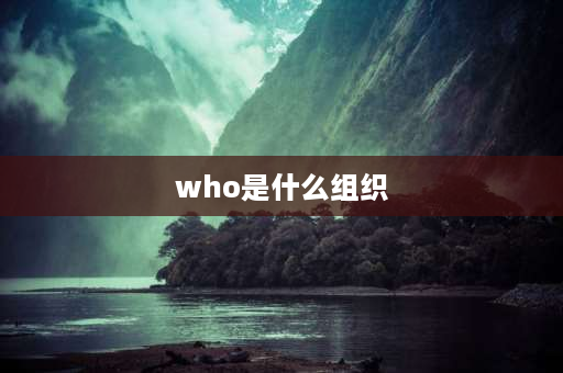 who是什么组织 WHO是个什么性质的组织？