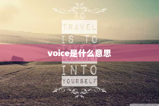 voice是什么意思 voice是什么功能？