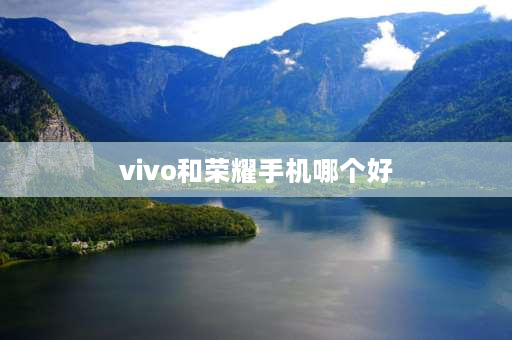 vivo和荣耀手机哪个好 荣耀和vivo哪款手机性价比高？