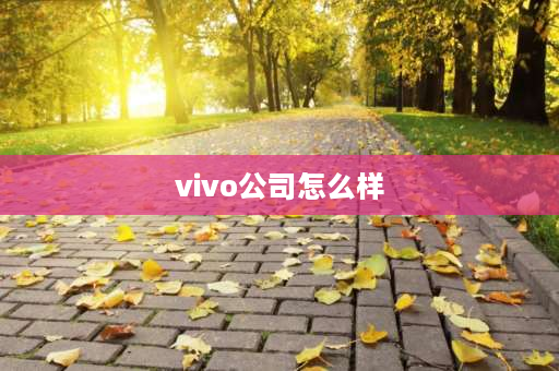 vivo公司怎么样 oppo与vivo哪个公司工作好？