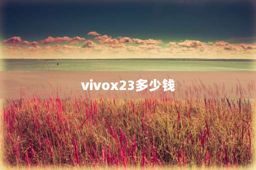 vivox23多少钱 vivoX23多少钱一台？