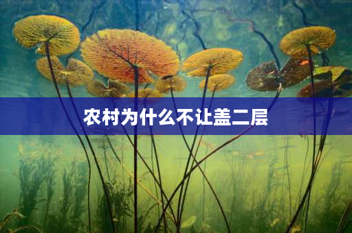 农村为什么不让盖二层 家在山东农村，我家前面要盖二层楼，有没有文件规定让不让起二层？