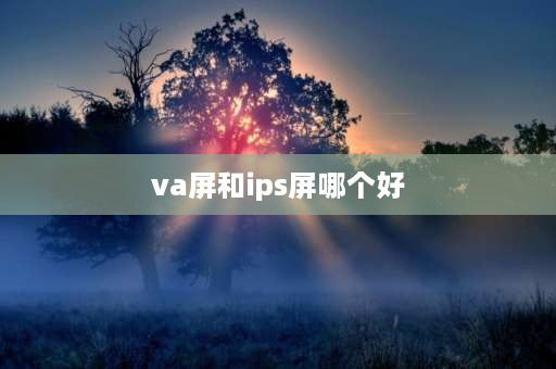 va屏和ips屏哪个好 ips和va面板哪个好？