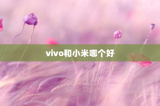 vivo和小米哪个好 vivo和小米哪个好用？