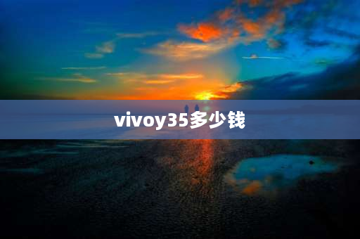 vivoy35多少钱 y35参数？