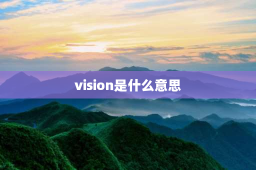 vision是什么意思 perception和vision的区别？