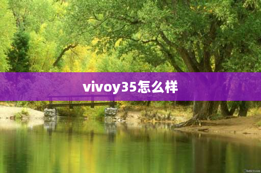 vivoy35怎么样 荣耀畅玩40和vivoy35哪个好？