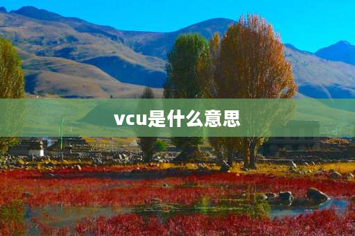 vcu是什么意思 vcu电池是什么意思？