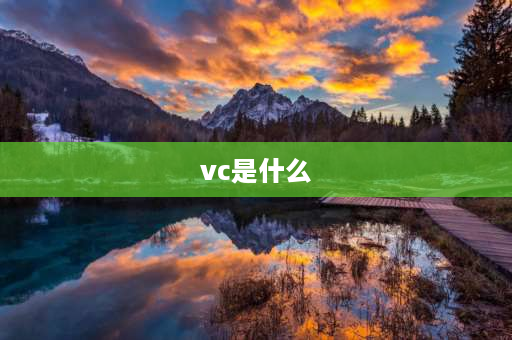 vc是什么 英语vc是什么意思？