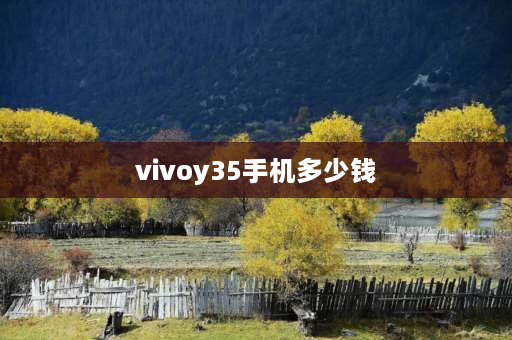 vivoy35手机多少钱 vivoy35这款手机怎么样？