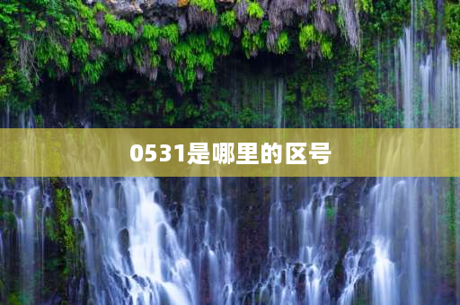 0531是哪里的区号 053是哪个省区号？