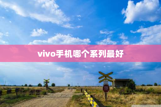 vivo手机哪个系列最好 vivo系列档次排名？