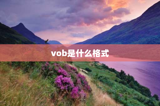 vob是什么格式 vob文件手机如何打开？