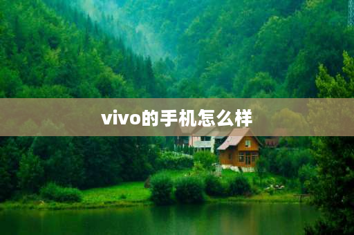 vivo的手机怎么样 vivos13手机怎么样？