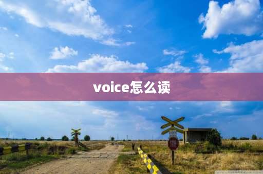 voice怎么读 oi自然拼读发音规律？