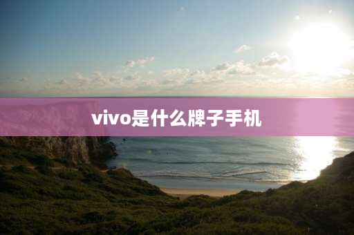 vivo是什么牌子手机 oppo和vivo是同一个公司旗下的么？