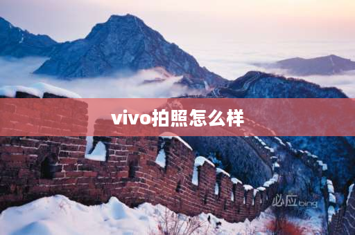 vivo拍照怎么样 vivox90拍视频怎么样？