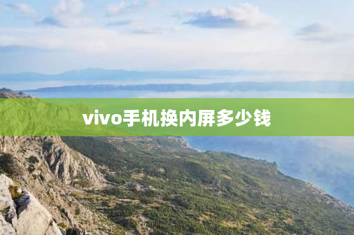 vivo手机换内屏多少钱 vivoy30换屏幕多少元？