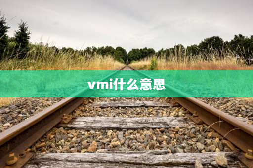 vmi什么意思 线边仓是什么？