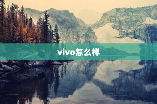 vivo怎么样 为什么内行人建议买vivo？