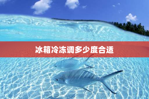 冰箱冷冻调多少度合适 电冰箱保鲜温度设置为5度，冷冻为多少度，最省电？