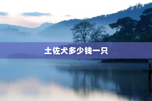 土佐犬多少钱一只 韩国有名的土佐犬叫什么？