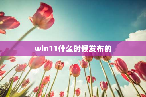 win11什么时候发布的 win11正式版什么时候上线？