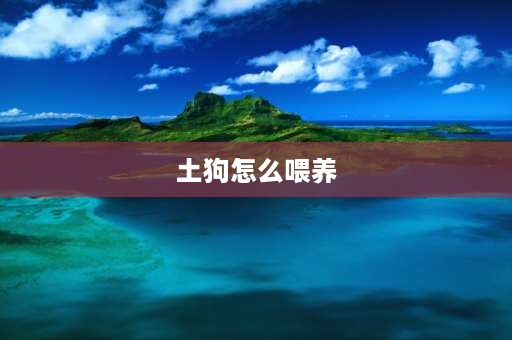 土狗怎么喂养 两个月的小狗狗怎么喂养？