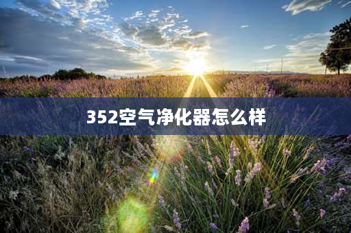 352空气净化器怎么样 352和IAM的净化器要选谁？