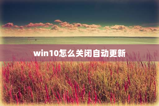 win10怎么关闭自动更新 dell电脑一直显示正在准备windows如何停止更新？