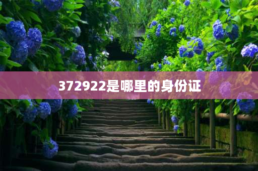 372922是哪里的身份证 菏泽63年身份证号是几位？