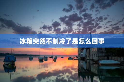 冰箱突然不制冷了是怎么回事 冰箱每隔十几天不制冷不起霜,是什么原因？