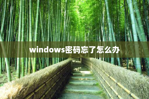 windows密码忘了怎么办 联想电脑账户和密码忘记了怎么办？