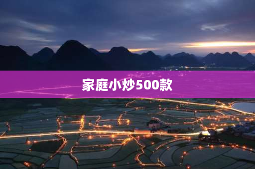 家庭小炒500款 家庭炒菜买什么锅最好？